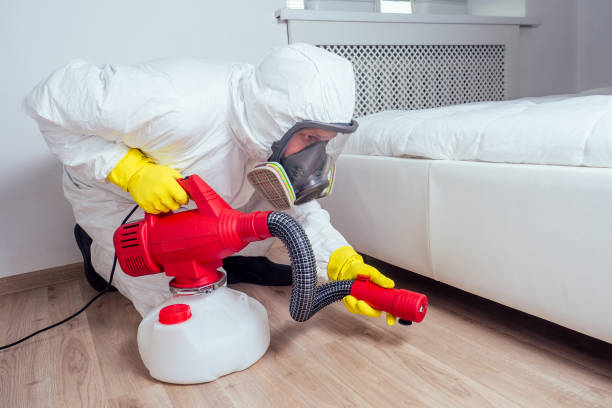 Wildlife Control Services in Signal Hill, CA